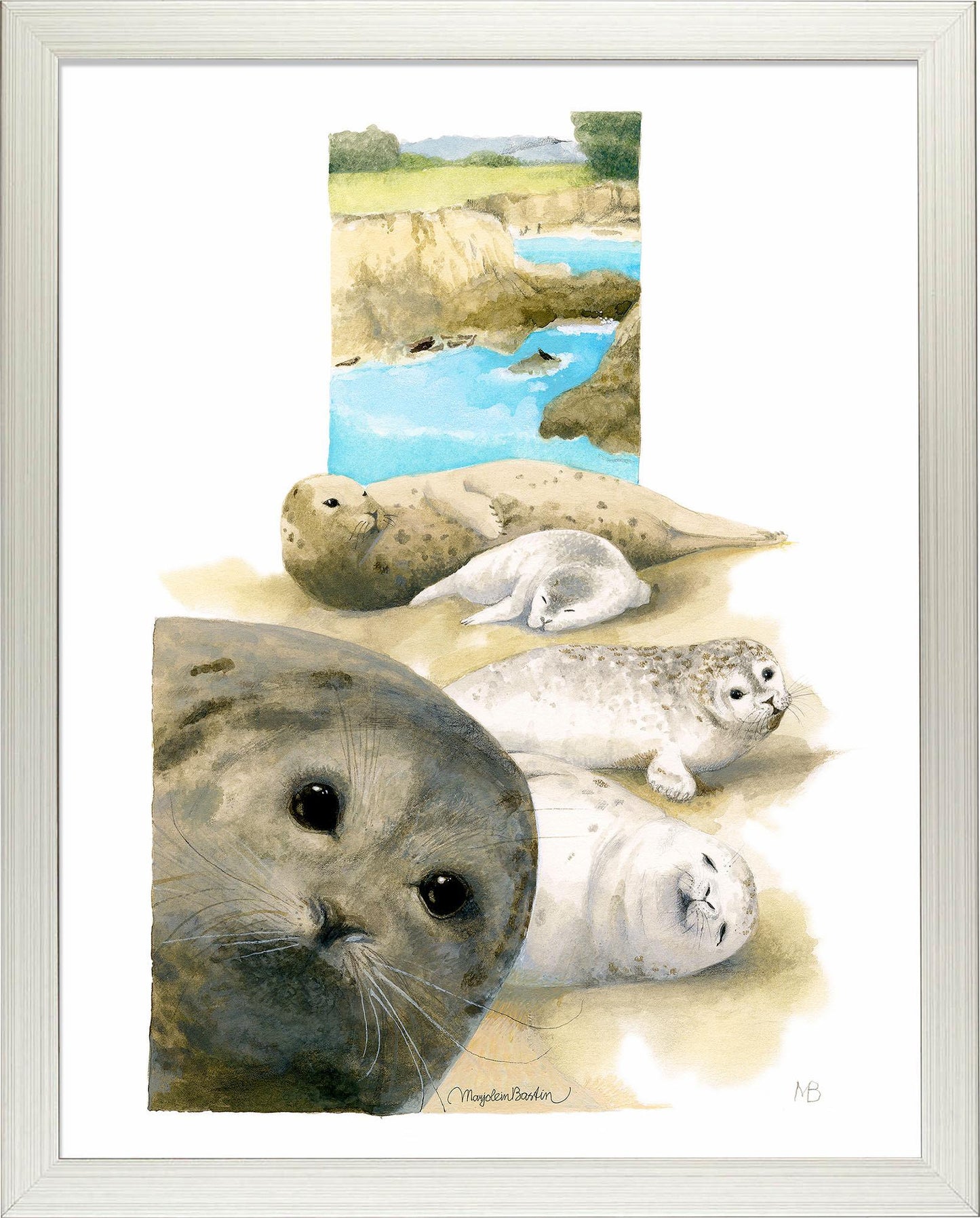 harbor-seals-at-sea-ranch-framed-print-F058322578S.jpg