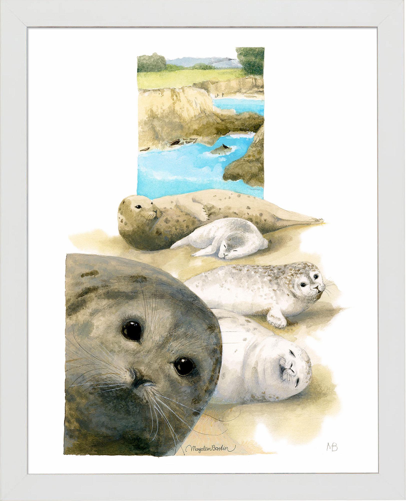 harbor-seals-at-sea-ranch-framed-print-F058322578W.jpg