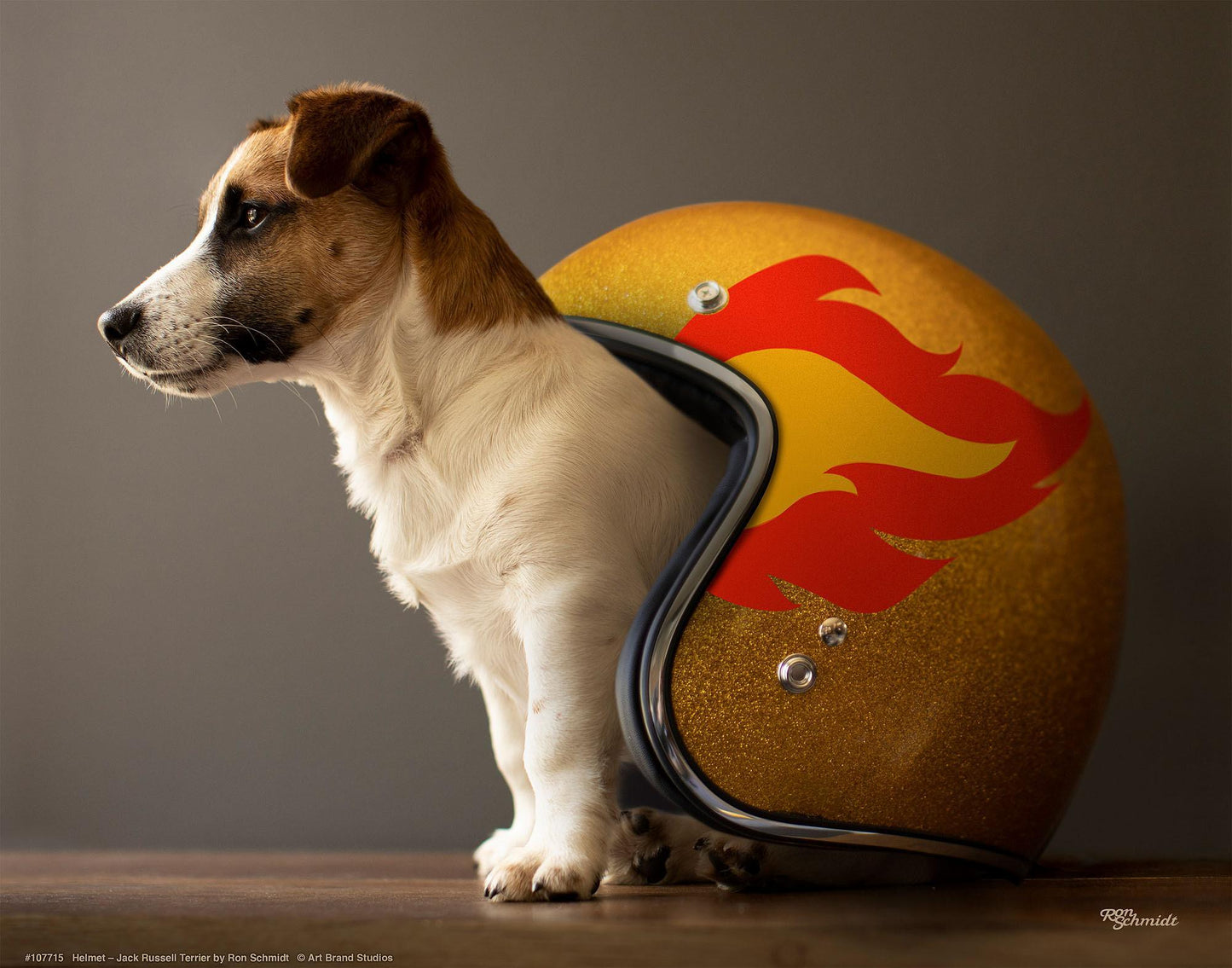 helmet-jack-russell-terrier-art-collection-1759224062IG.jpg