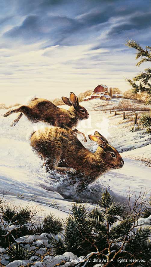 hightailing-cottontail-rabbits-by-terry-redlin-1701308089d.jpg