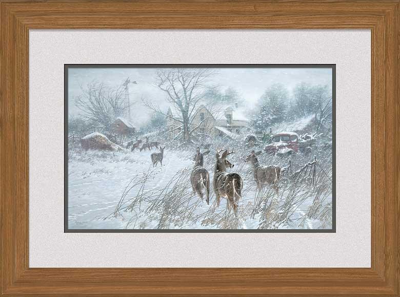 homestead-whitetail-deer-in-winter-framed-art-print-by-michael-sieve-F780307065d.jpg