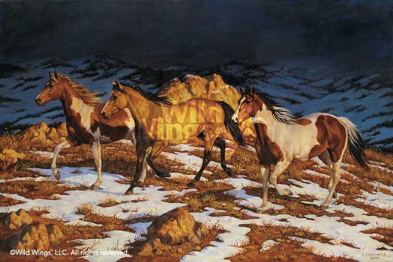 horse-art-print-approaching-storm-by-chris-cummings-1195020081d_ef9dbe6b-6380-4922-ba2a-2608bde3a0b5.jpg