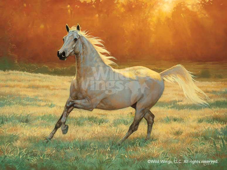 horse-art-print-arabian-gray-by-chris-cummings-1195741081d_9ca985b4-0de2-4b41-9545-dc7a60992a73.jpg