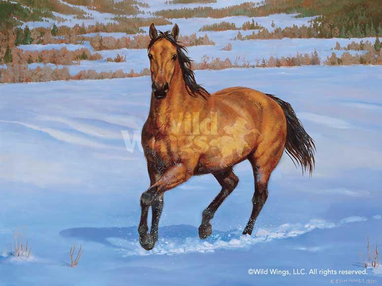 horse-art-print-quarter-horse-buckskin-by-chris-cummings-1195742081d_51937eff-c5de-4a4b-9ba6-40210c9aae87.jpg