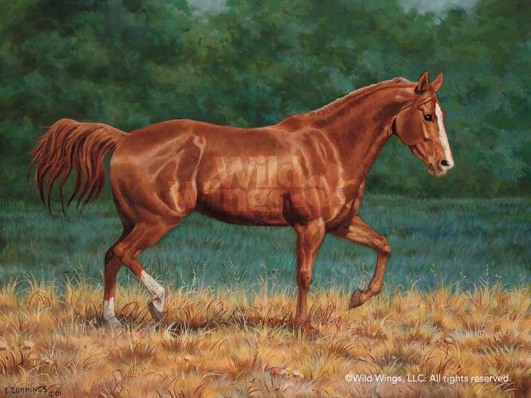horse-art-quarter-horse-sorrel-print-by-chris-cummings-1195743081d_755336e8-011d-4f7a-b0d2-098d7488d0db.jpg