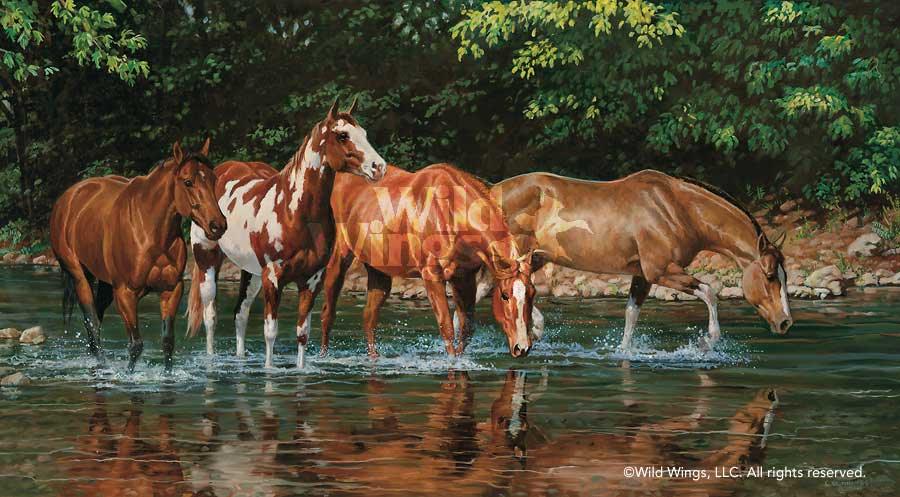 horses-art-reflections-print-by-chris-cummings-1195640081d_b3be507e-1bb7-43c6-92d6-0cbb6ee39c54.jpg