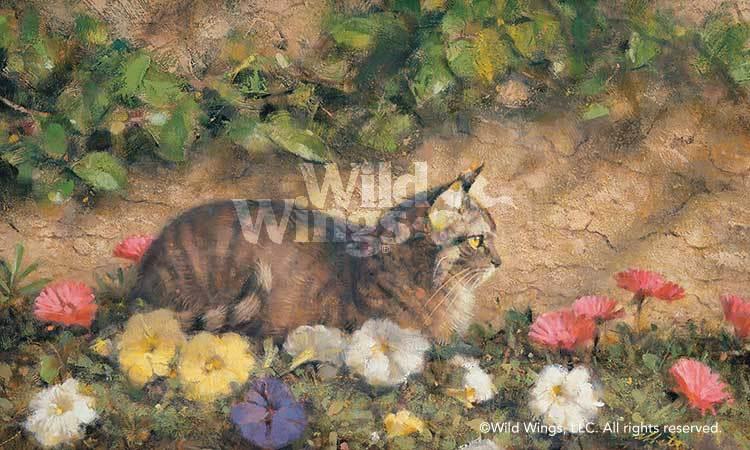 in-the-garden-cat-art-print-by-robert-abbett-1012320073d_459daba6-ff6b-44e6-ab19-3d4aada820df.jpg