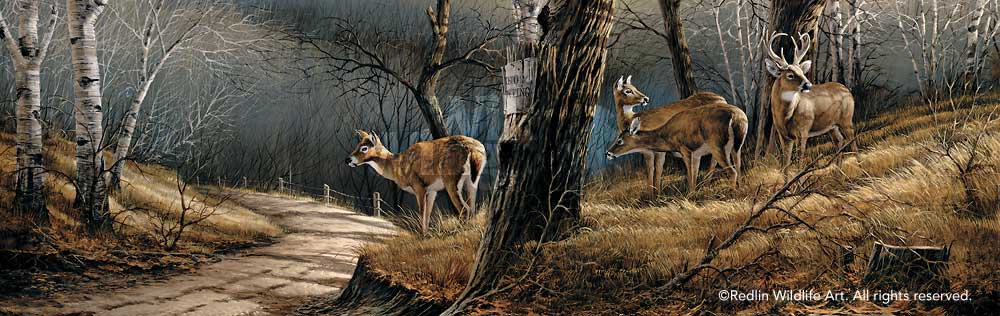 leaving-the-sanctuary-whitetail-deer-by-terry-redlin-1701326589d.jpg
