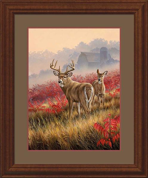 lifting-fog-whitetail-deer-rosemary-millette-F593342065.jpg