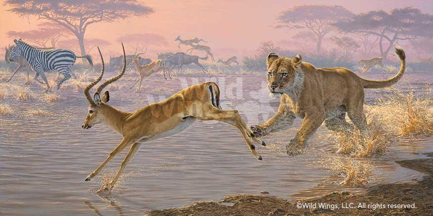 lion-chasing-antelope-art-print-pandemonium-by-lee-kromschroeder-1476610079d_c25c7976-b323-4664-95db-7c756f2dea72.jpg