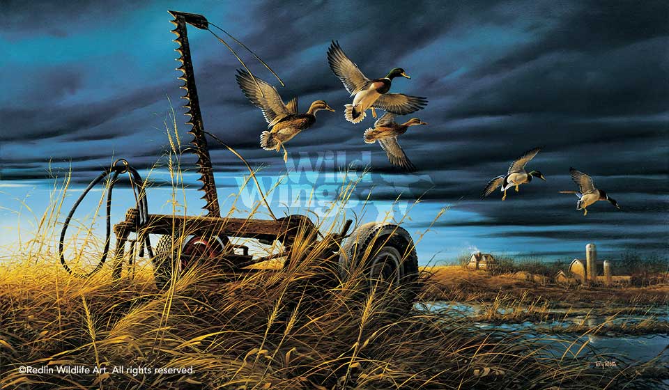 mallard-ducks-art-print-the-landmark-by-terry-redlin-1701323089d.jpg