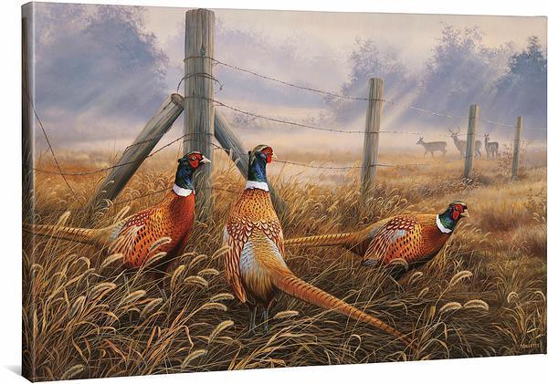 meadow-mist-pheasants-gallery-wrapped-canvas-rosemary-millette-F593492619CGW_bcc2b7f6-25e8-4fb0-93be-1a1d7430977d.jpg