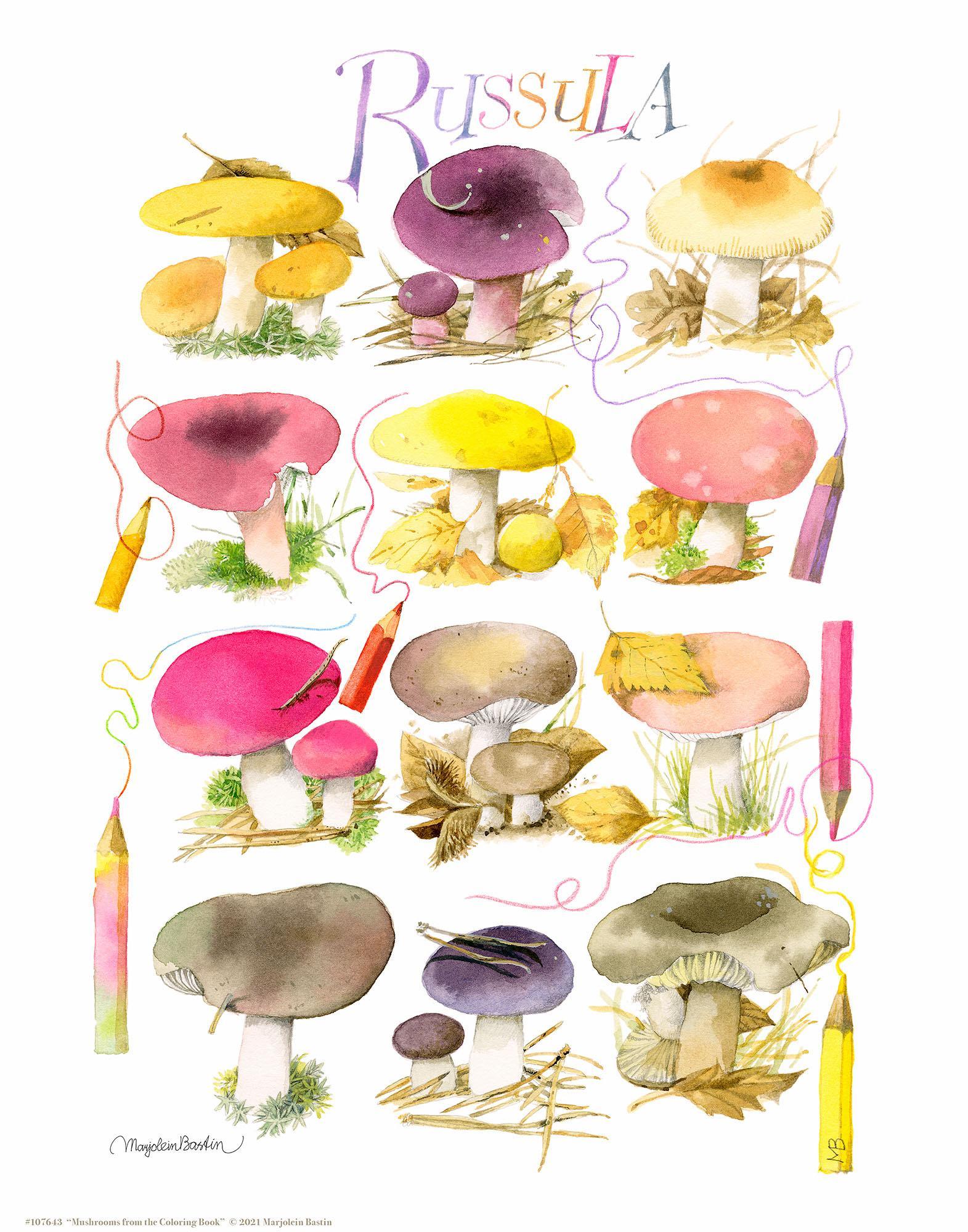 mushrooms-for-the-coloring-book-art-collection-1058558090IG.jpg