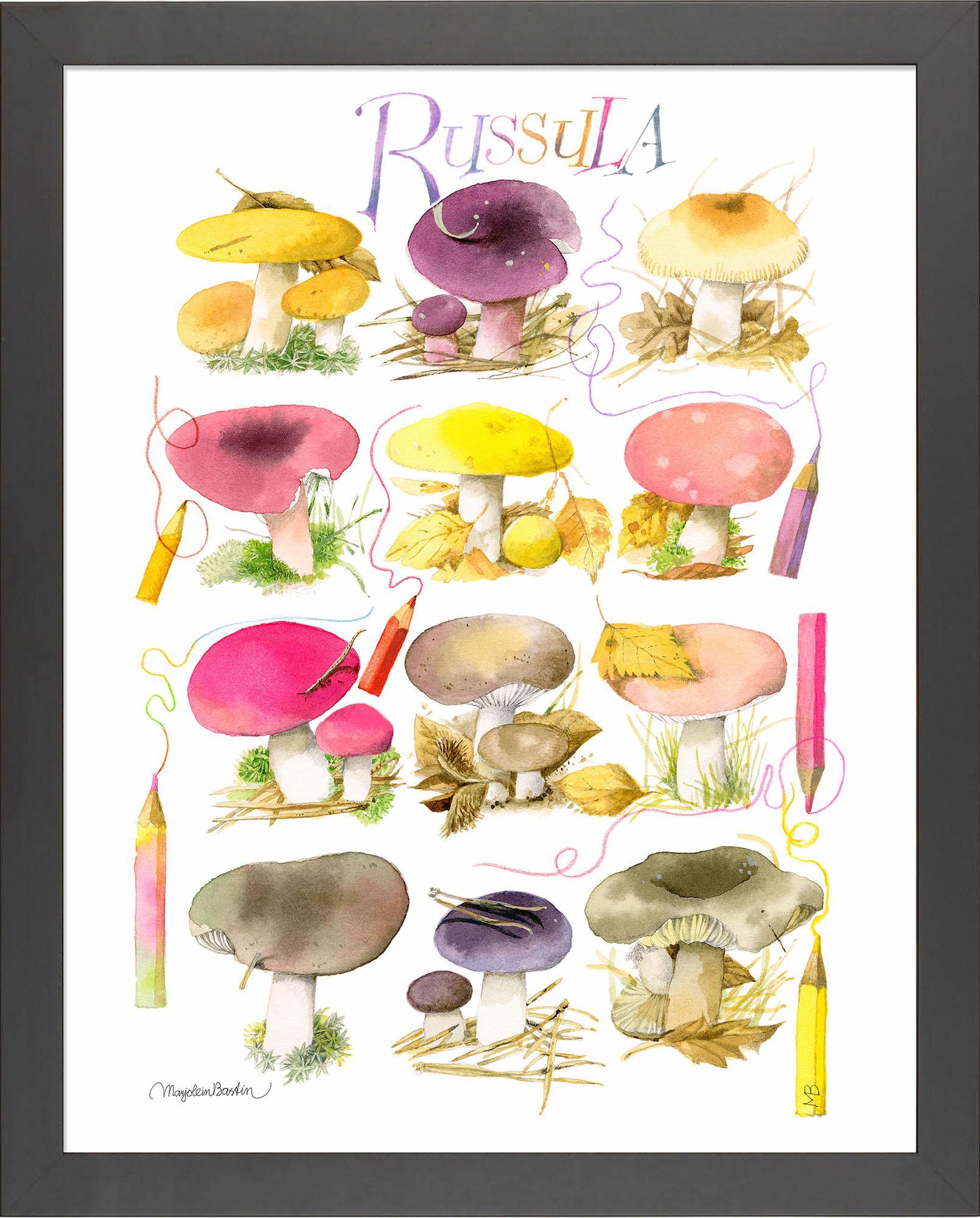 mushrooms-for-the-coloring-book-framed-print-F058558090B.jpg
