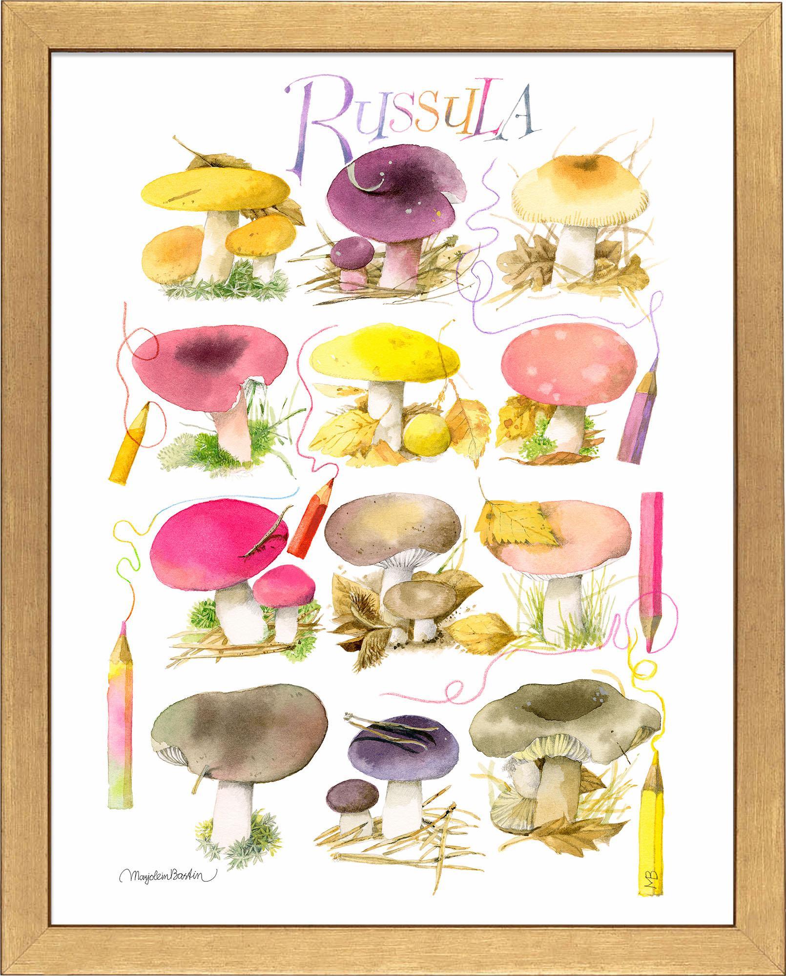 mushrooms-for-the-coloring-book-framed-print-F058558090G.jpg