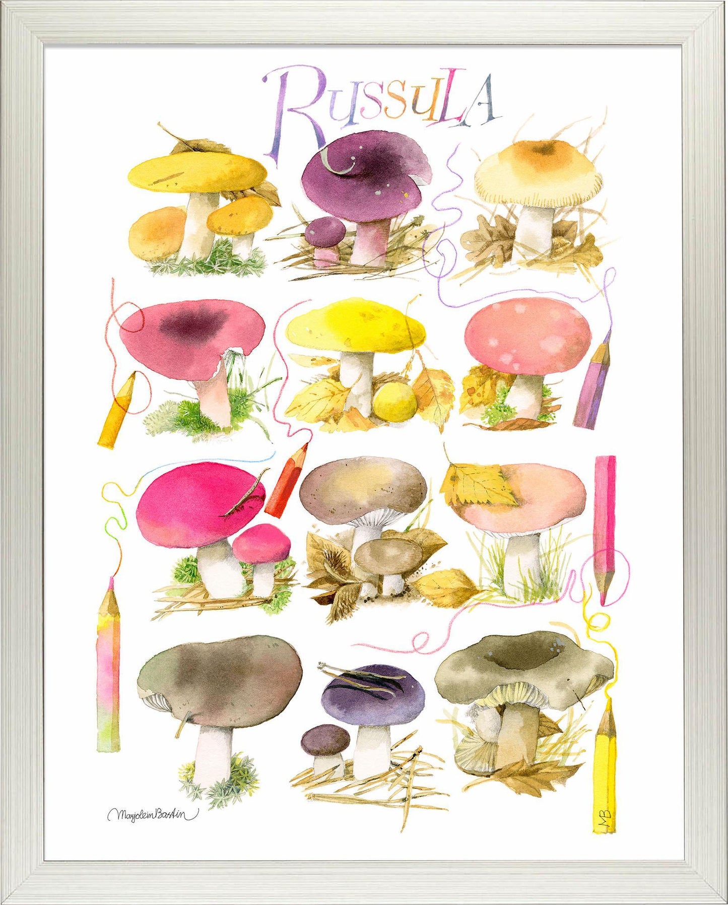 mushrooms-for-the-coloring-book-framed-print-F058558090S.jpg