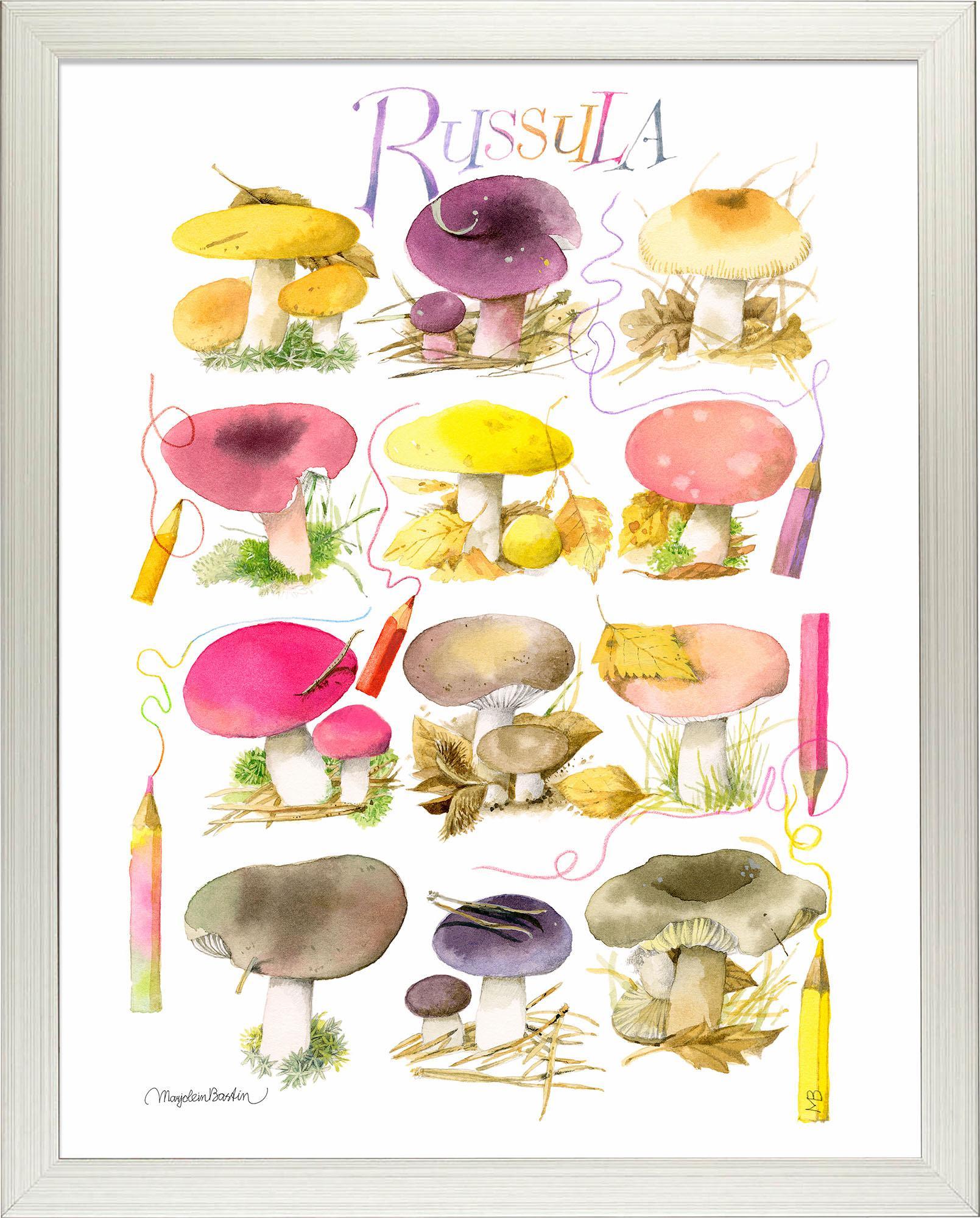 mushrooms-for-the-coloring-book-framed-print-F058558090S.jpg