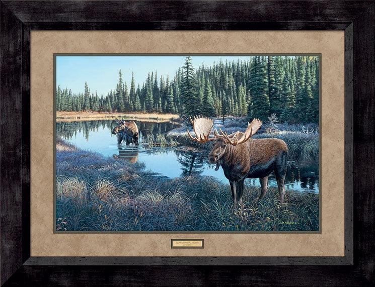 now-showing-moose-framed-art-print-F423533068d.jpg