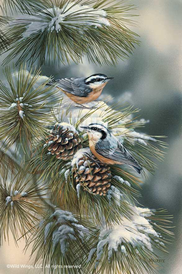 nuthatches-art-print-winter-gems-by-rosemary-millette-1593854049d.jpg