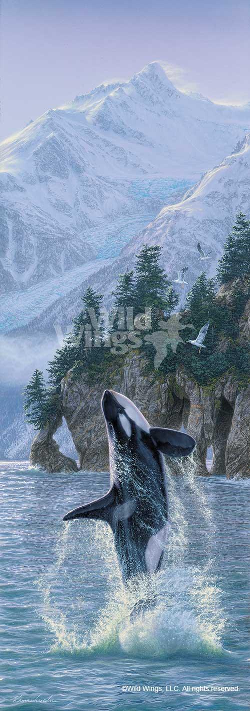 orca-killer-whale-art-print-by-lee-kromschroeder-1476885092d.jpg