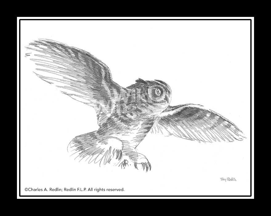 owl-study-pencil-sketch-by-terry-redlin-1701415030d_ba24d4d5-3a98-4cb2-b216-7e9484e862a7.jpg