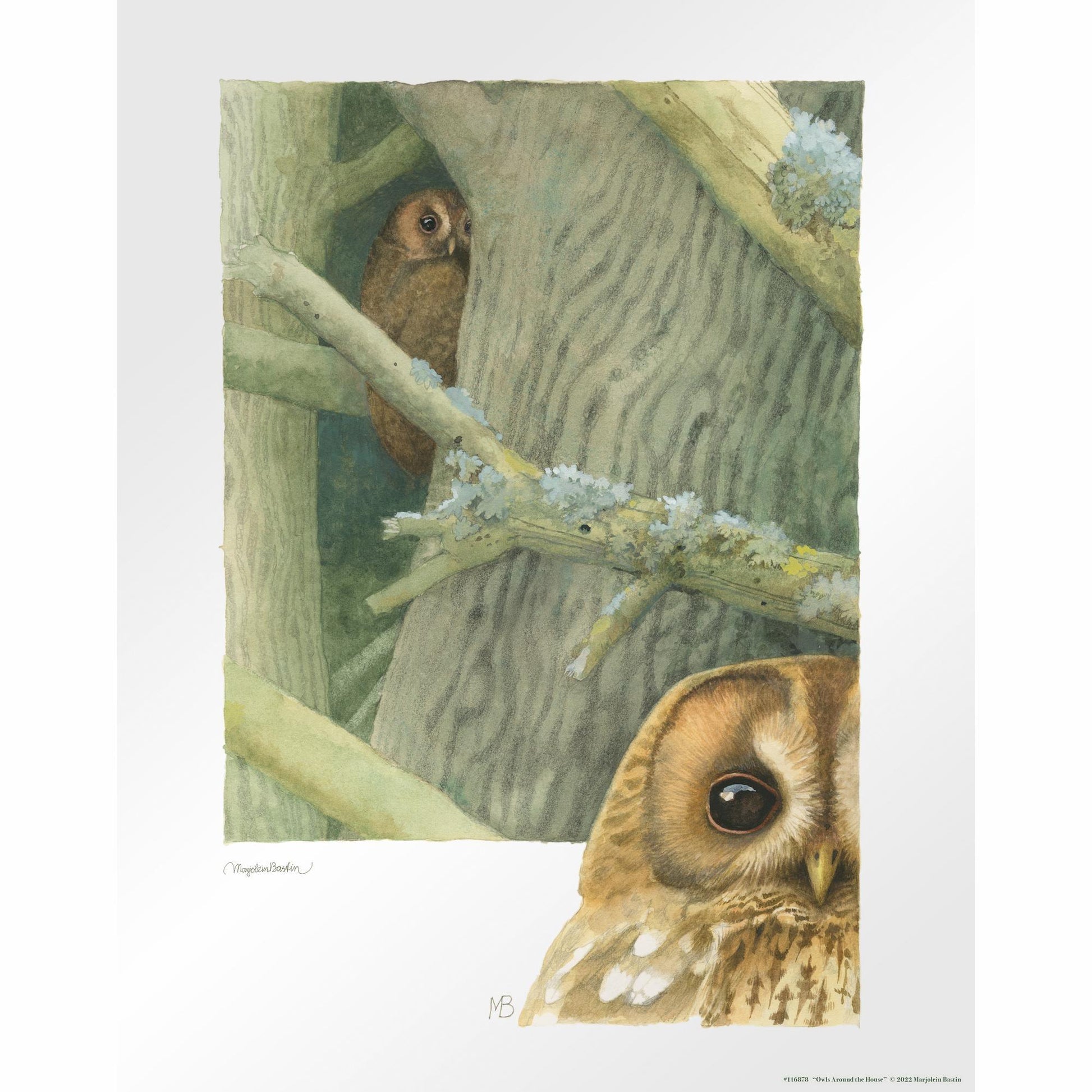 owls-around-the-house14x11-apbastin-1058590030.jpg