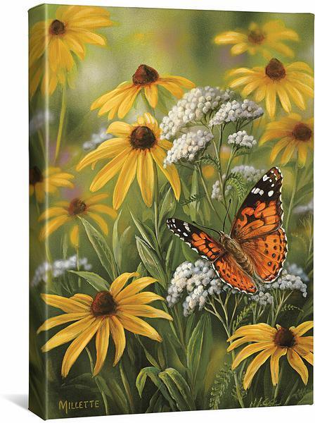 painted-lady-butterfly-gallery-wrapped-canvas-rosemary-millette-F593625485CGW_5ea8b242-c6e5-4687-a620-2133e80919b3.jpg