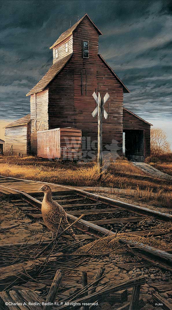 prairie-skyline-pheasant-II-pinnacle-print-by-terry-redlin-1701433689d.jpg