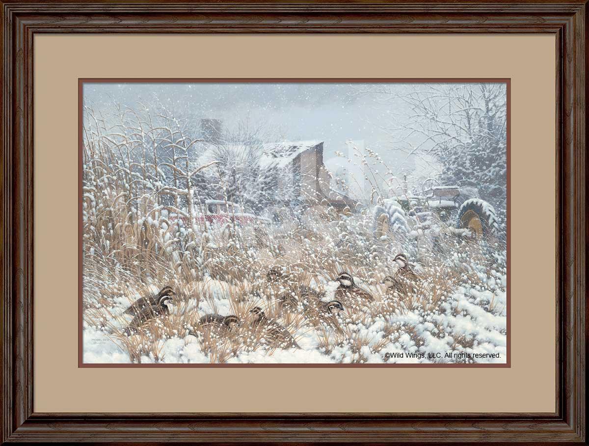 quail-in-winter-framed-art-michael-sieve-F780309018d.jpg