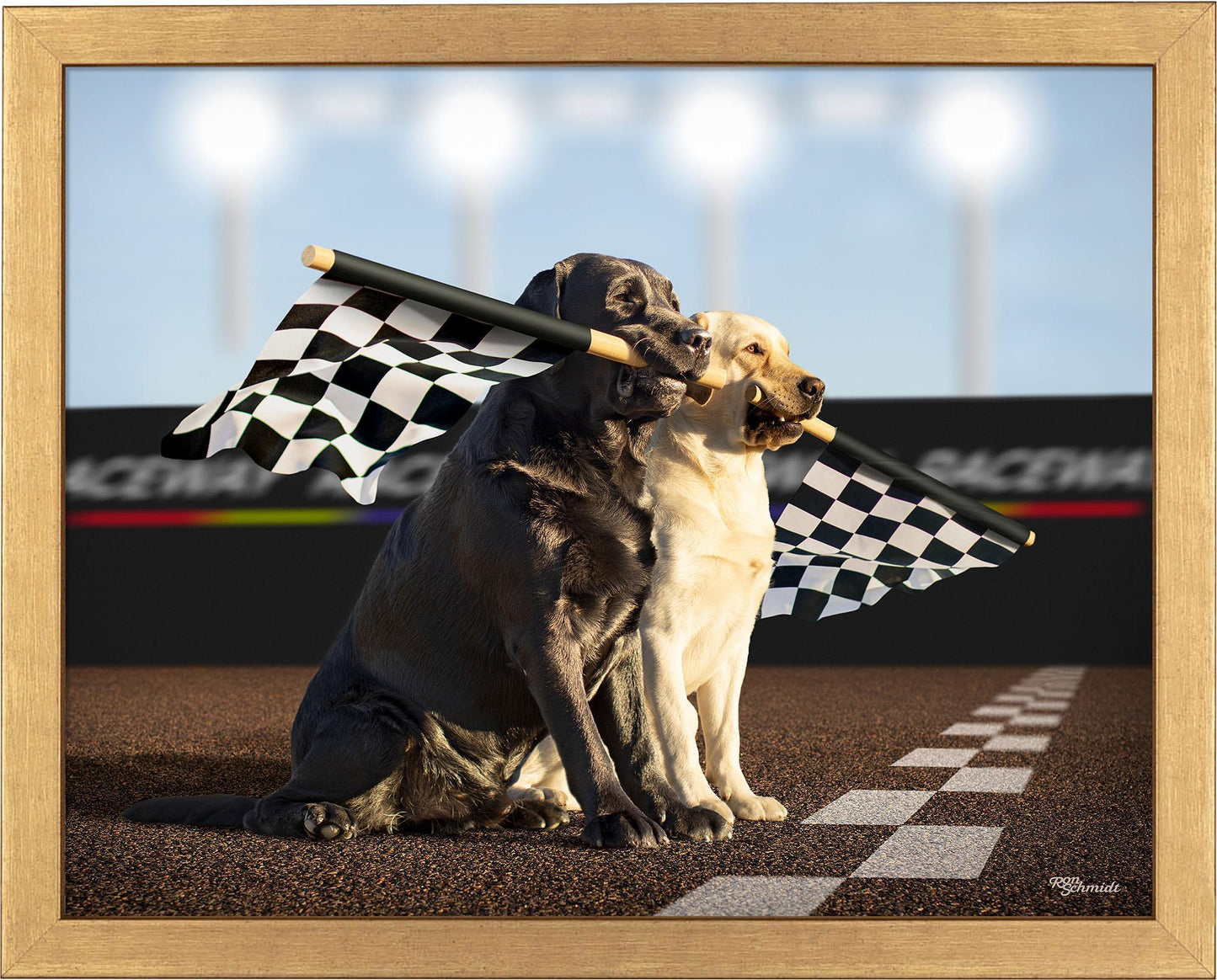 rally-black-yellow-labs-framed-print-F759719056G.jpg