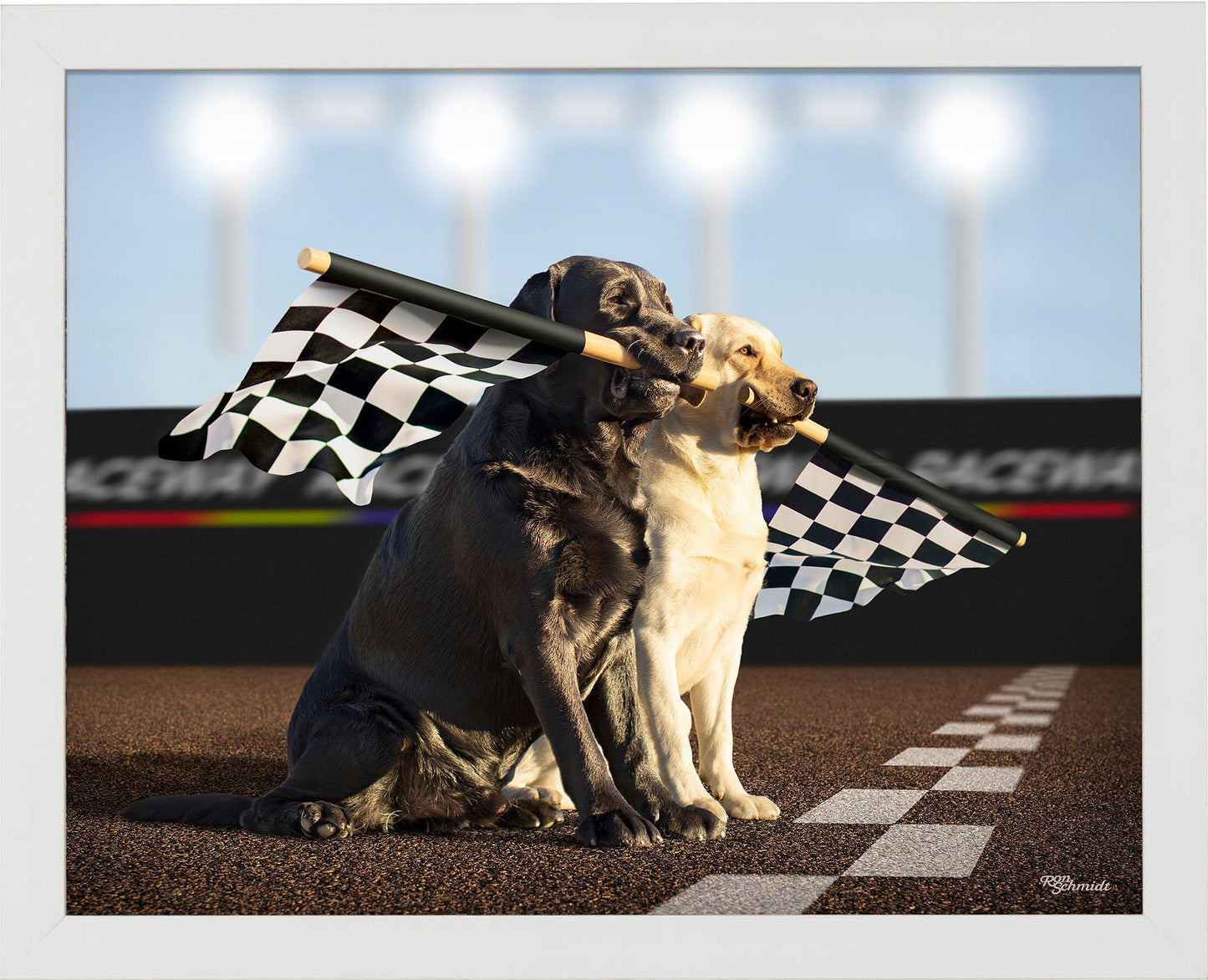 rally-black-yellow-labs-framed-print-F759719056W.jpg