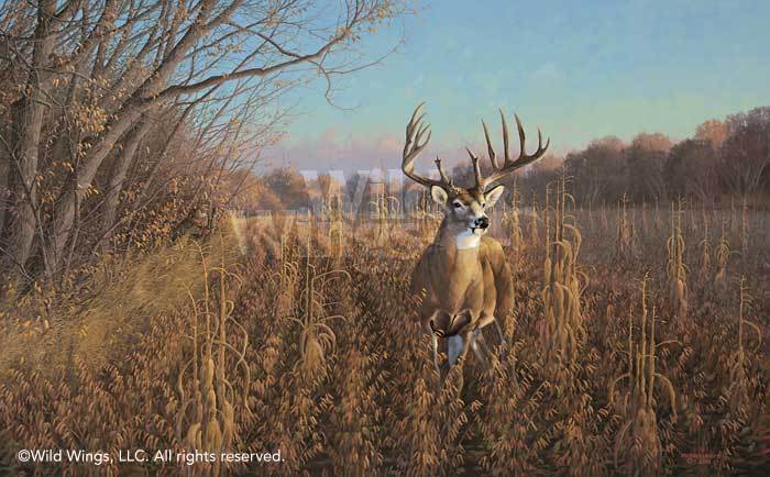 record-whitetail-deer-art-print-mel-johnson-beanfield-buck-by-michael-sieve-1780267065d_722a10a5-543c-4222-82b7-f3fd9bb6dc4d.jpg