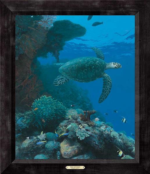 reef-sentinel-turtle-framed-print-scott-F771683498.jpg