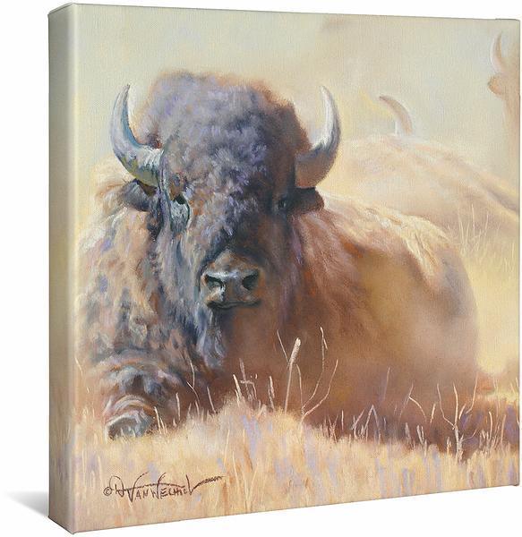 Resting Bull-Bison Art Collection – Wild Wings