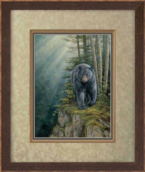 rocky-outcrop-black-bear-gna-premium-framed-print-rosemary-millette-ELT1921175E.jpg