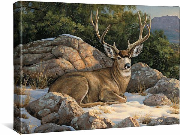 rocky-outcrop-mule-deer-gallery-wrapped-canvas-rosemary-millette-F593681465CGW_5e41539d-21b9-43a6-96ee-2c9aad22d137.jpg