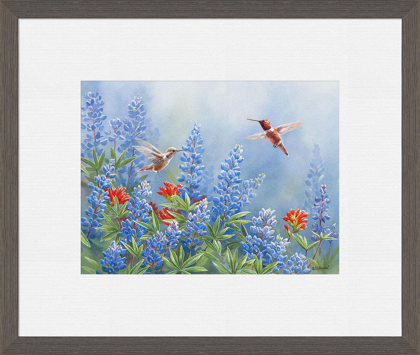 rufous-pair-framed-print-susan-bourdet-F085688541C.jpg