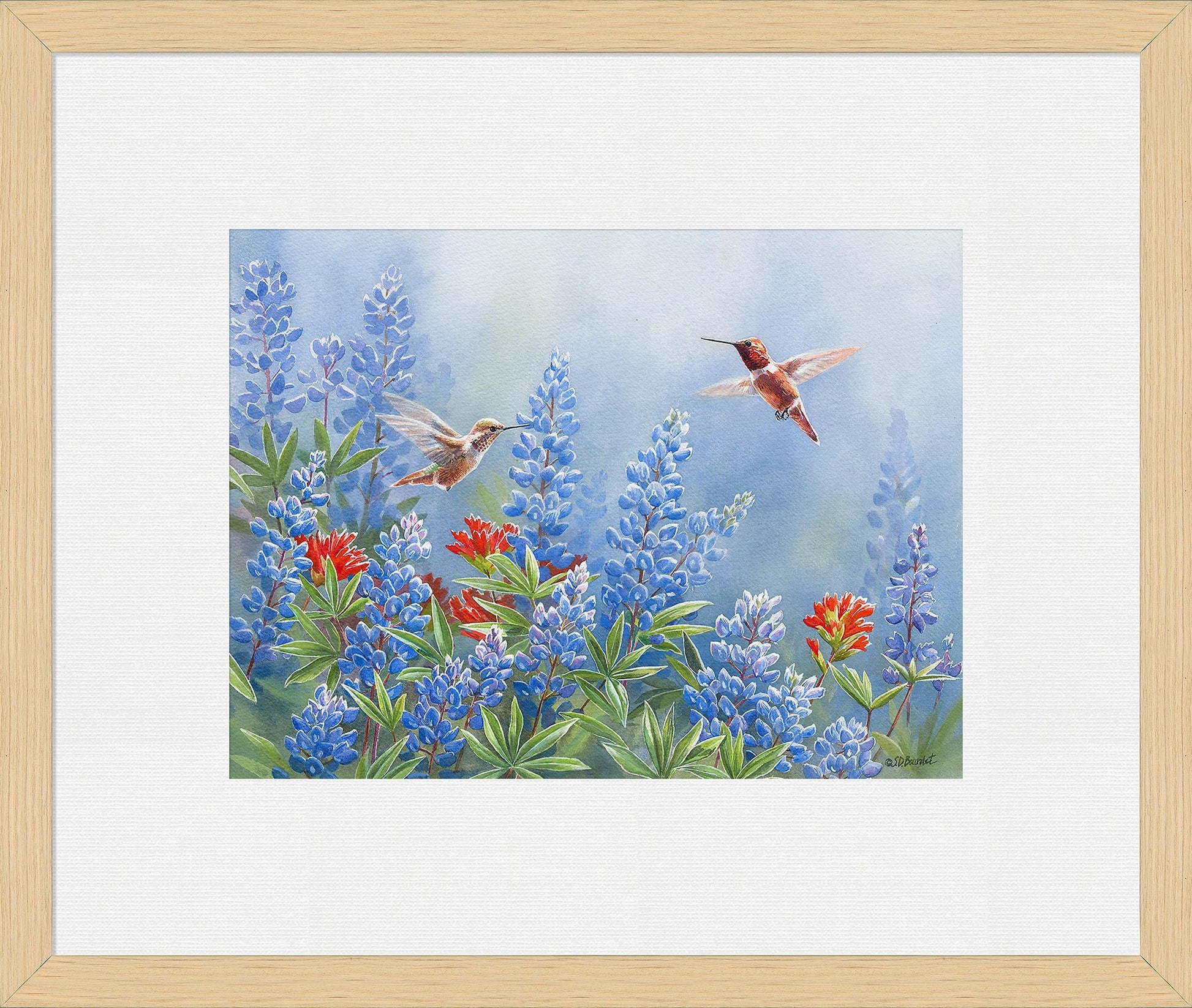 rufous-pair-framed-print-susan-bourdet-F085688541O.jpg