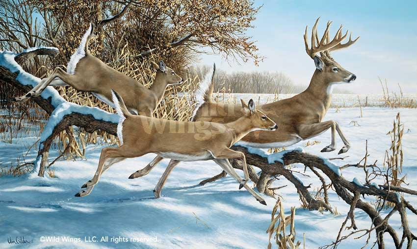 running-deer-art-breaking-cover-by-ron-van-gilder-1913075565d_69a41264-5336-4ff0-9764-d6134d2a75ad.jpg