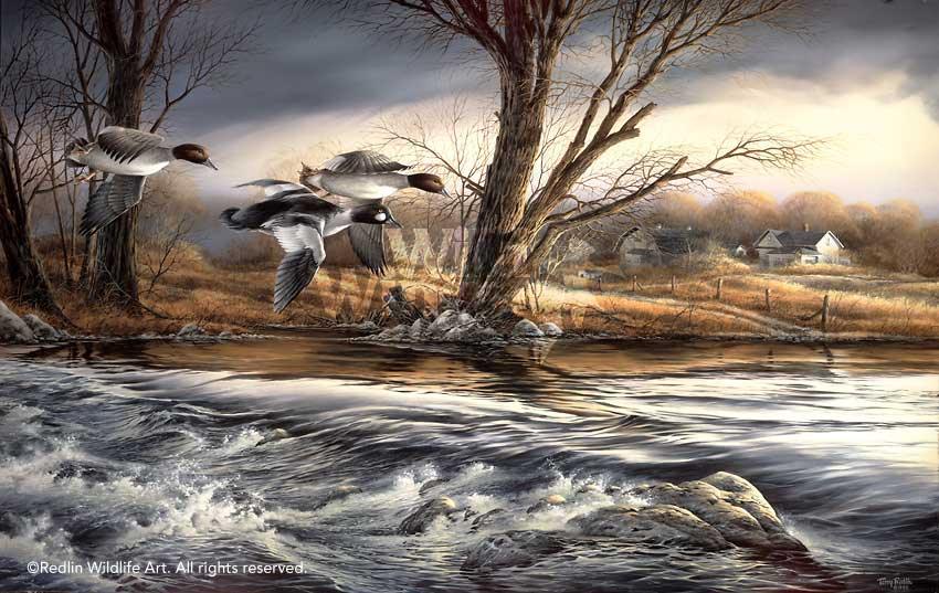 rushing-rapids-goldeneye-ducks-by-terry-redlin-RED11018d_8875917d-0d29-4df4-ab51-c3a7bcc9637e.jpg