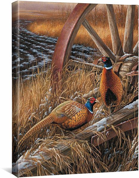 rustic-outlook-pheasants-gallery-wrapped-canvas-rosemary-millette-F593682419CGW_75ca6a16-d206-47aa-96c4-d0c3c72c532d.jpg