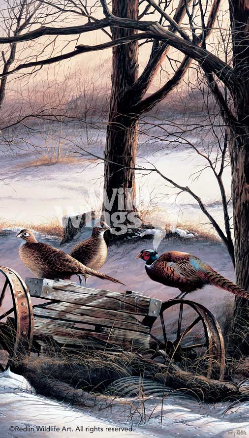 rusty-refuge-III-pheasants-by-terry-redlin-1701449089d.jpg
