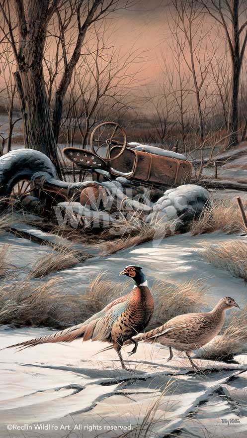 rusty-refuge-IV-pheasants-by-terry-redlin-1701450089d.jpg