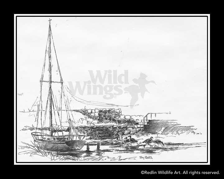 sailboat-study-pencil-sketch-by-terry-redlin-1701452989d_8efa2553-c052-48a7-a0b0-73a641f454c0.jpg
