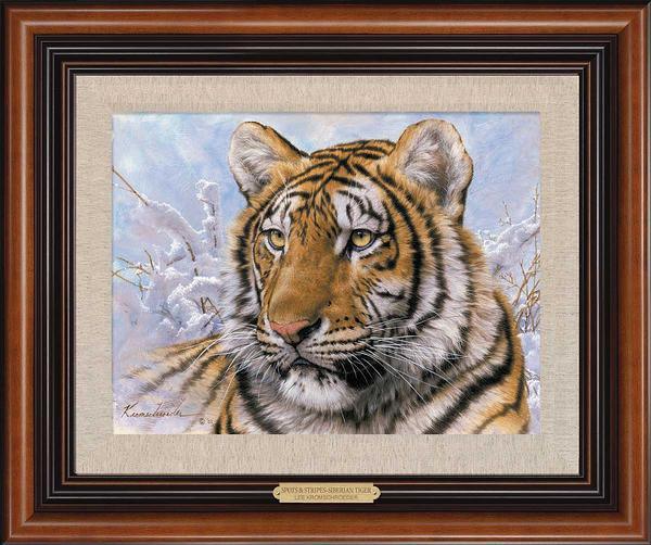 spots-stripes-siberian-tiger-framed-canvas-lee-kromschroeder-F476705473.jpg