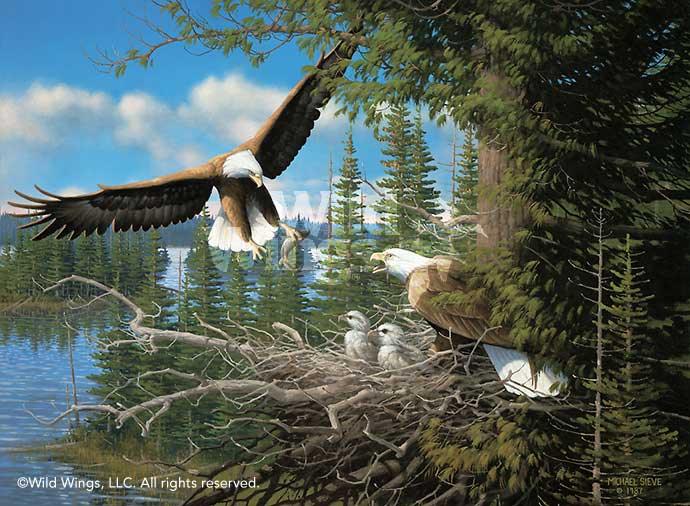 spring-bald-eagles-art-print-by-michael-sieve-1780710032d.jpg