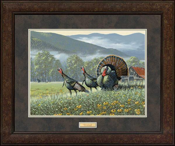 spring-round-wild-turkey-hager-framed-print-EPR3748120D_047f1691-2937-44ee-9558-c7840e181e53.jpg