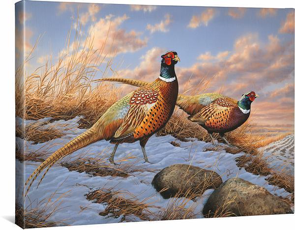 standing-ground-pheasants-gallery-wrapped-canvas-rosemary-millette-F593717419CGW_dc7e7638-d969-4273-afc1-bca4e87325db.jpg