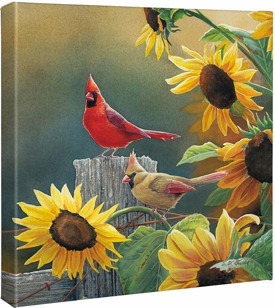 sunny-side-up-cardinals-gallery-wrapped-canvas-susan-bourdet-F085760326CGW_8dd7f82e-f7e1-4d4c-80bc-43f84327280d.jpg
