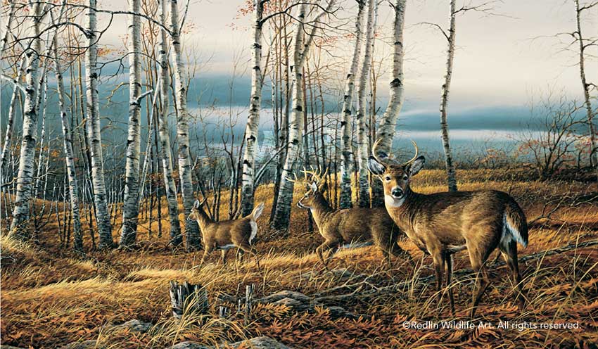 the-birch-line-deer-by-terry-redlin-1701135589d.jpg